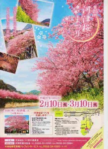 河津桜まつり