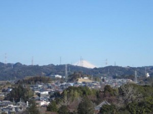 IMG_3533
