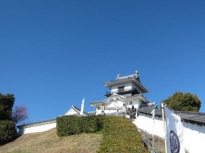 IMG_3537
