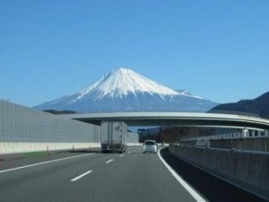 IMG_3557