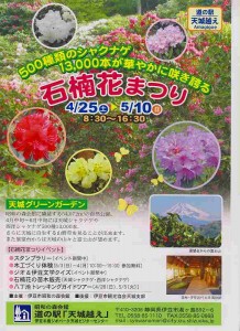 石楠花25