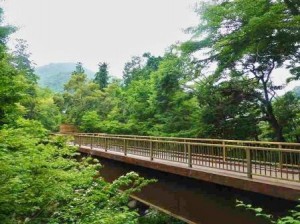 ほたるまつり会場