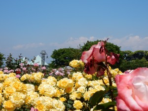 DSCN1075