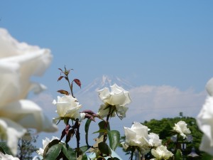 DSCN1079