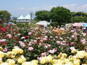 DSCN1080