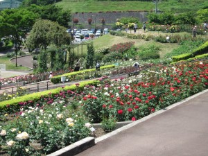 IMG_3870