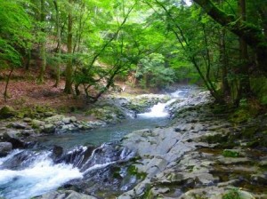 夏のおすすめ滑沢渓谷
