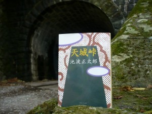 天城峠　岩波正太郎
