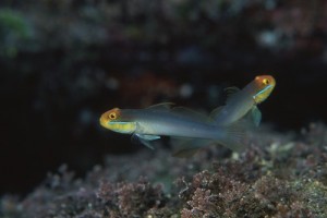 府川専務　②－３