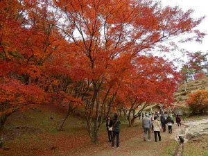 %e3%82%82%e3%81%bf%e3%81%98